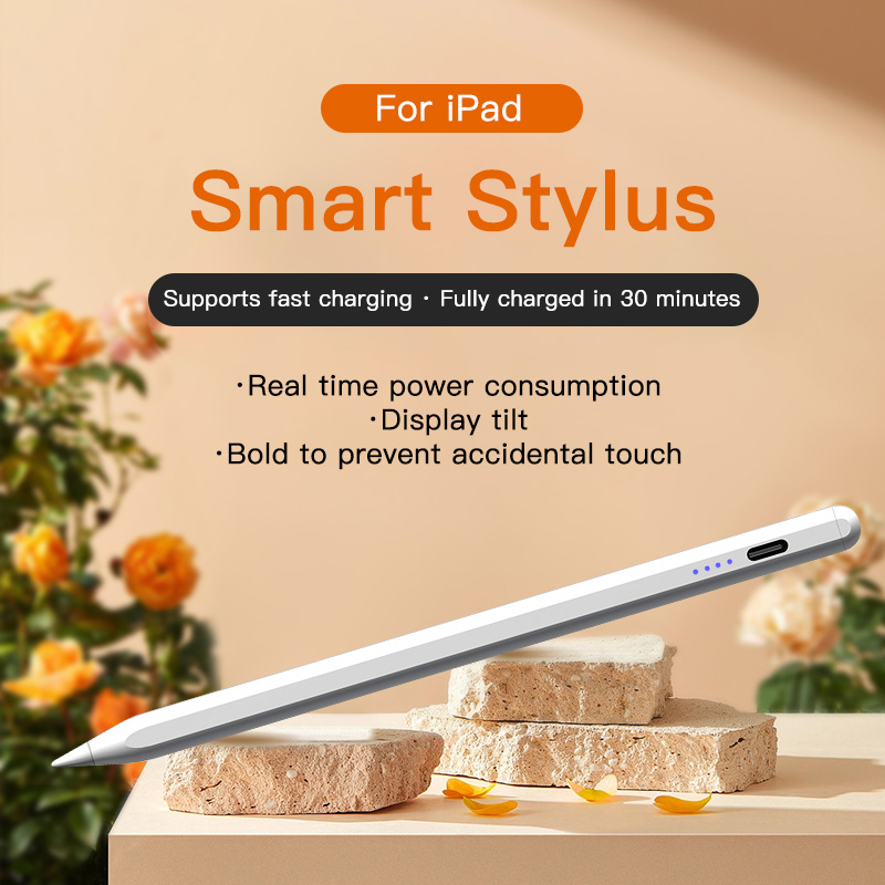 Penna stilo per Apple Pencil c - Tablet Accessories Kids recensione e prezzo